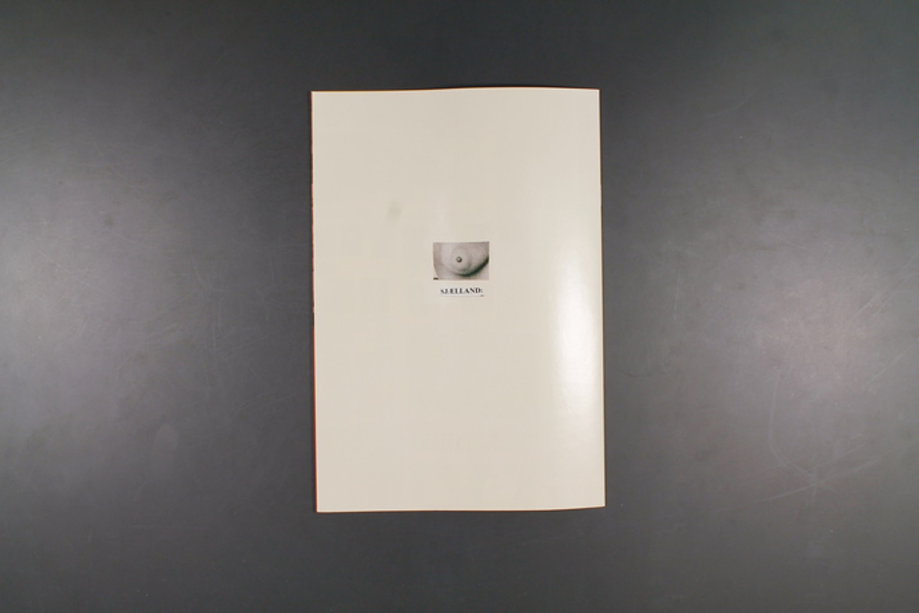 Porno Kommunistisk Universitet thumbnail 2