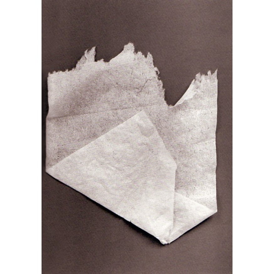 Anonymous Origami thumbnail 3