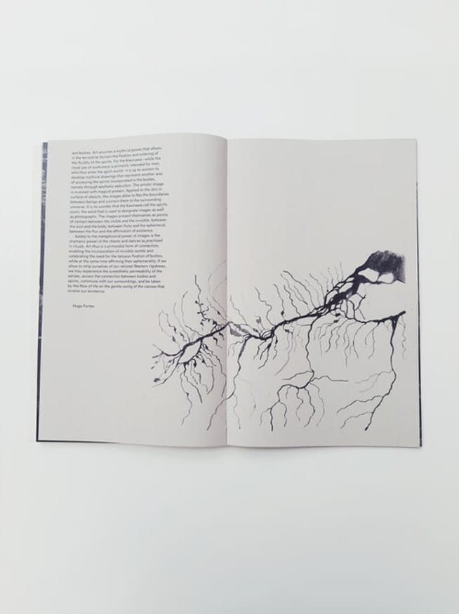 Amazonia thumbnail 4