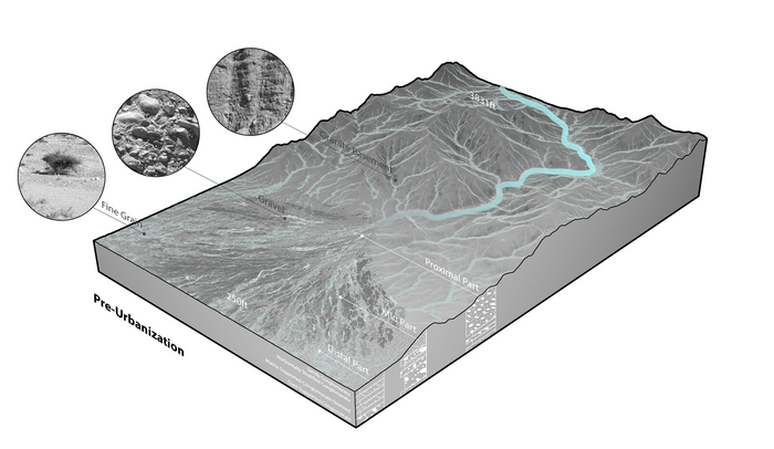 02a Natural flow of fan (pre-urbanization).png