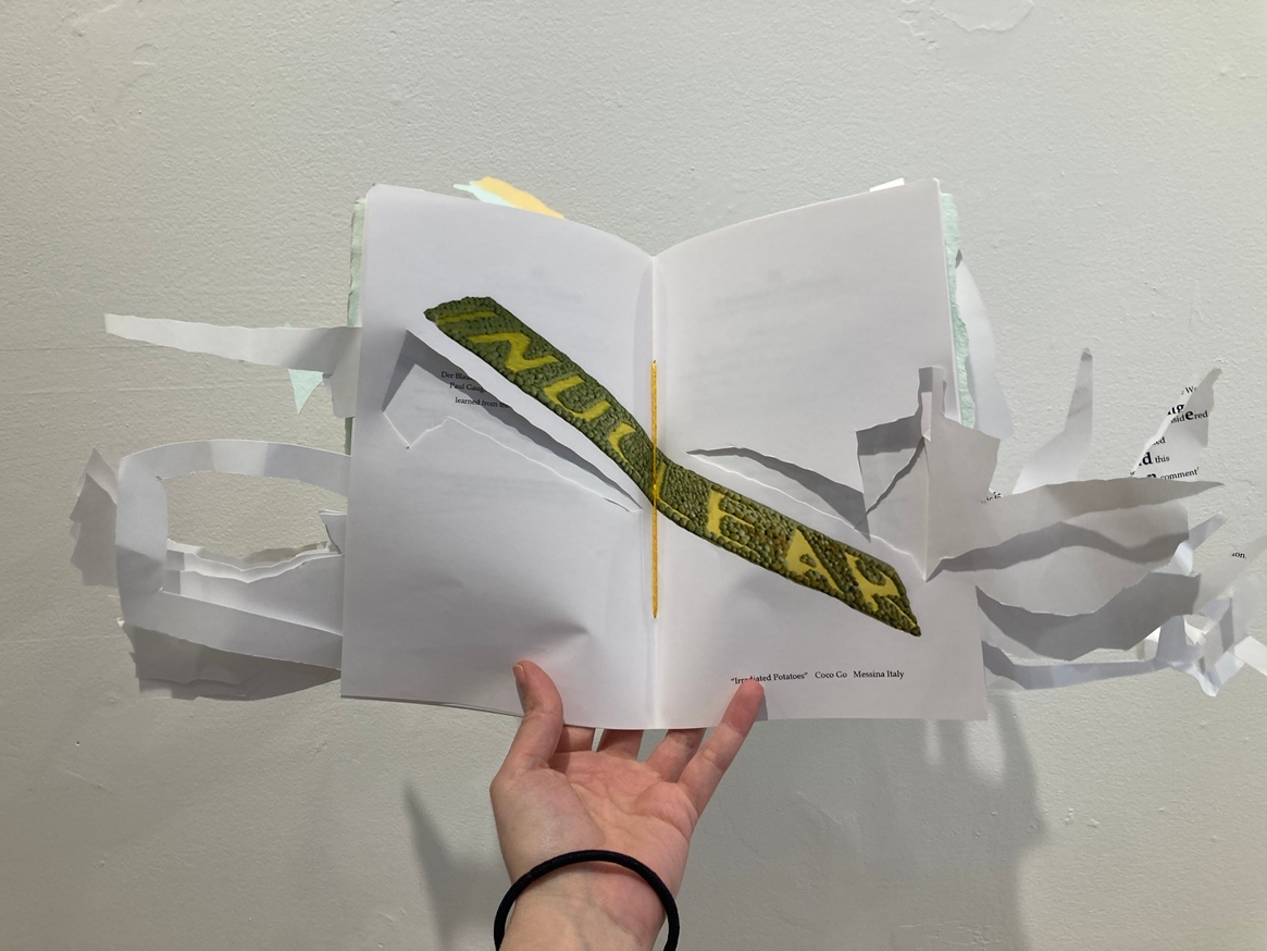 Cut Book (A Biomass Continuity : Coco Go Interactiv' with John Grande's Balance : Art & Nature) thumbnail 2