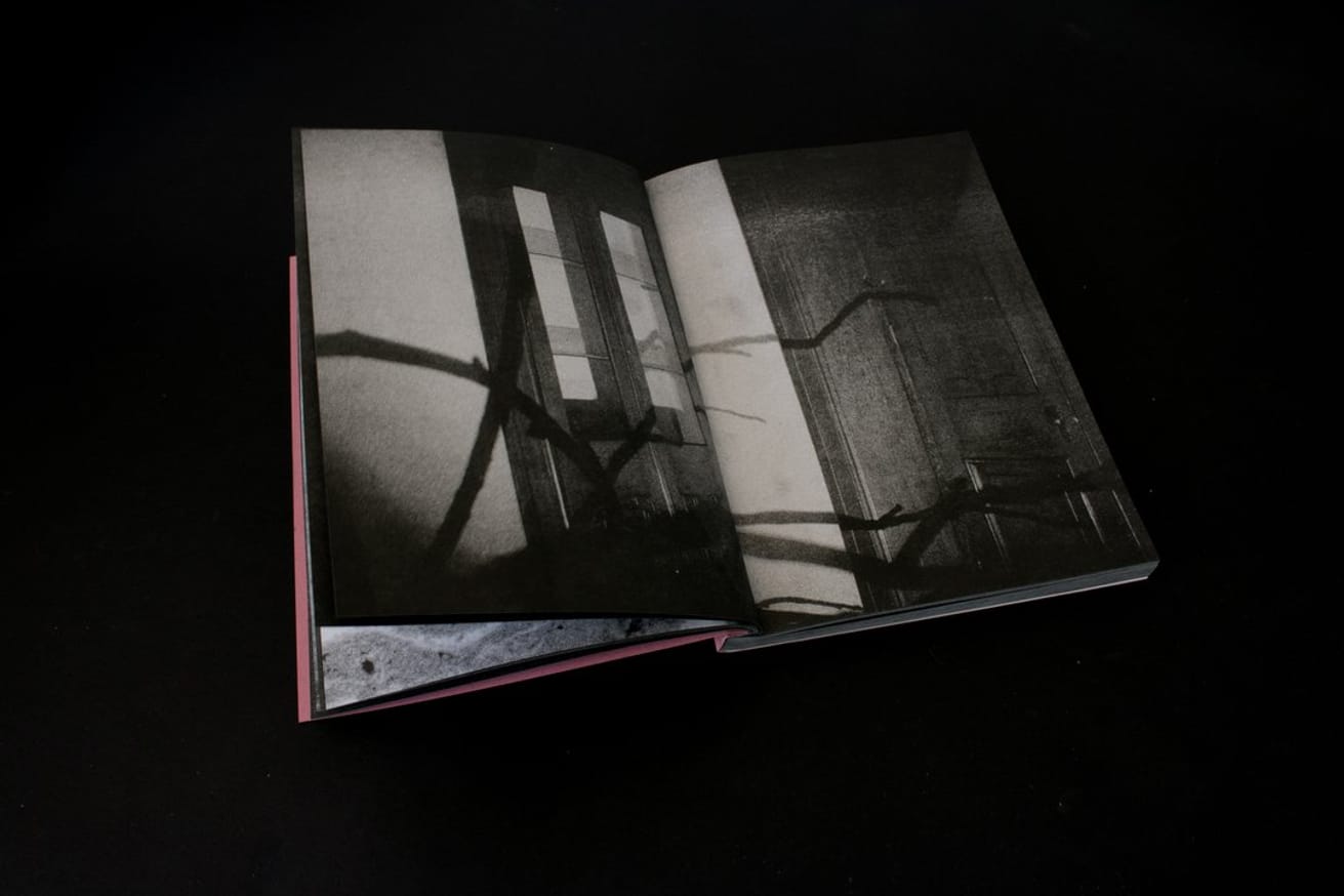 Delusion is a lie that tells the truth thumbnail 6