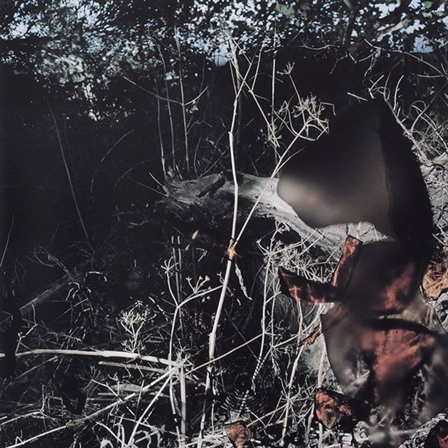 Talking to Ants thumbnail 7