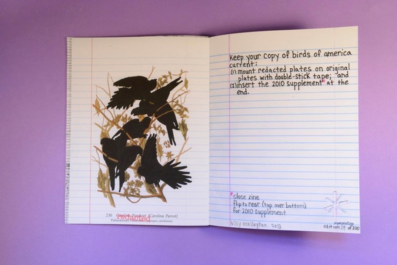 Birds of America 2010 Supplement / Redacted : Double Reared Edition thumbnail 3