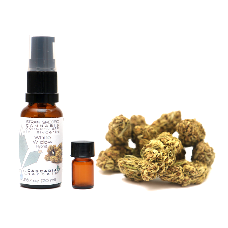 Product image for White Widow