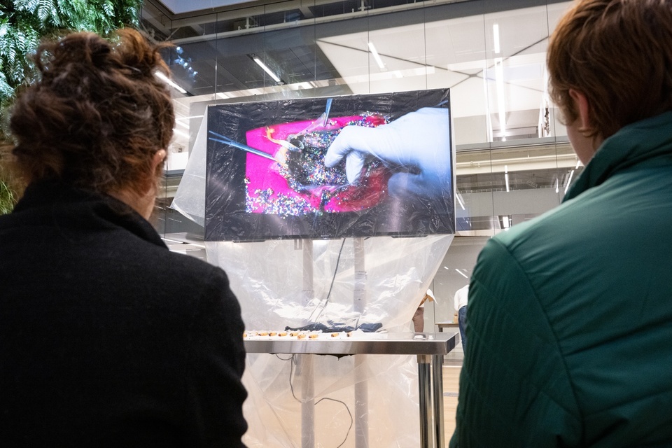 A TV monitor draped in a plastic bag displays a close-up of a piece of food being manipulated by forceps and a gloved hand.