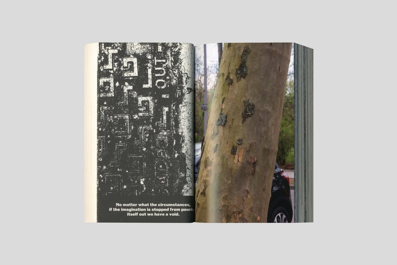 softspot thumbnail 6