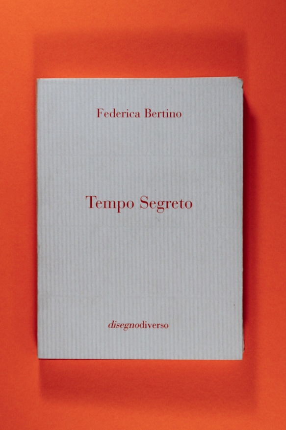 Tempo Segreto                                                                                                                                                                                                                                                   thumbnail 2