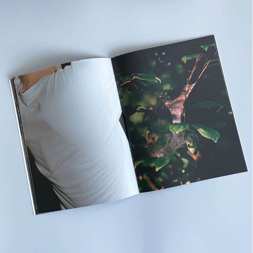 Heaven on Earth thumbnail 4