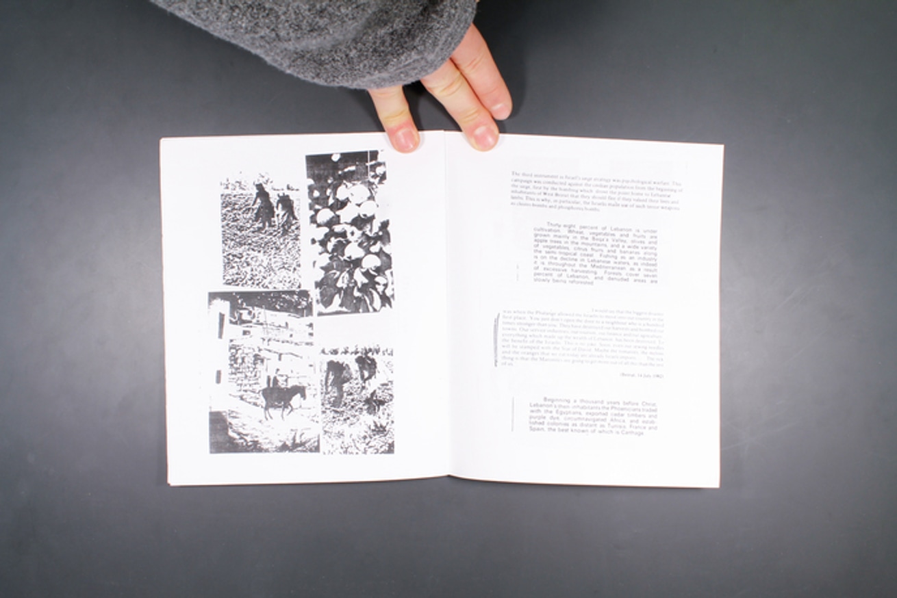 The Recent History and Destruction of Lebanon thumbnail 9