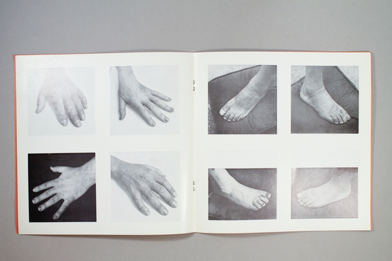 Heredity Study #1 thumbnail 2