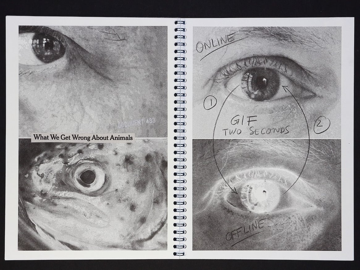 BROKEN DOCUMENTS thumbnail 5