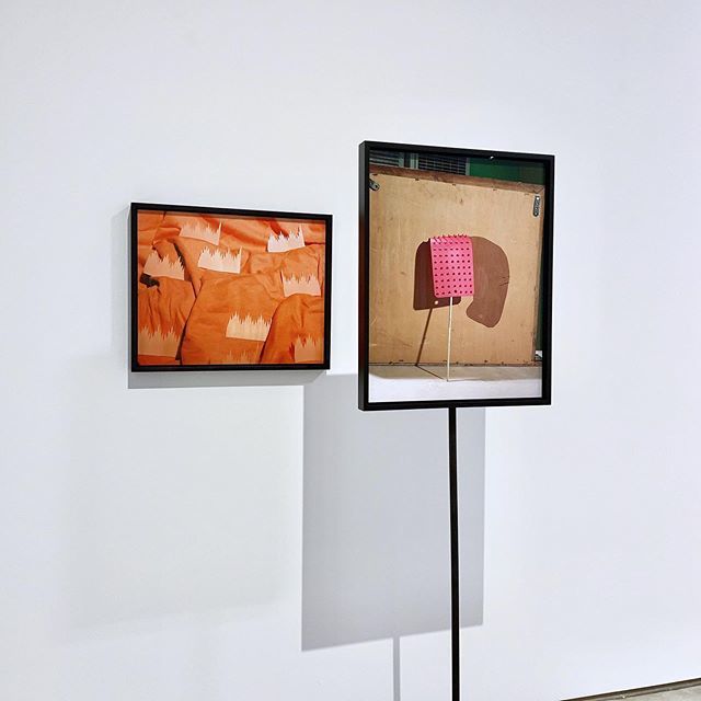 C93xkn1yqviadisvossx?&fit=max