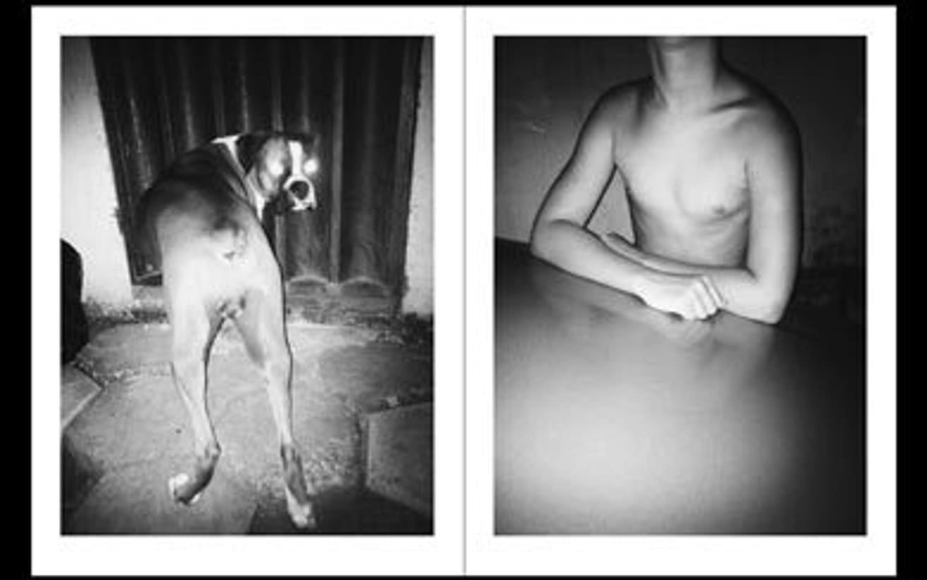 Home is Where the Dog Is thumbnail 2