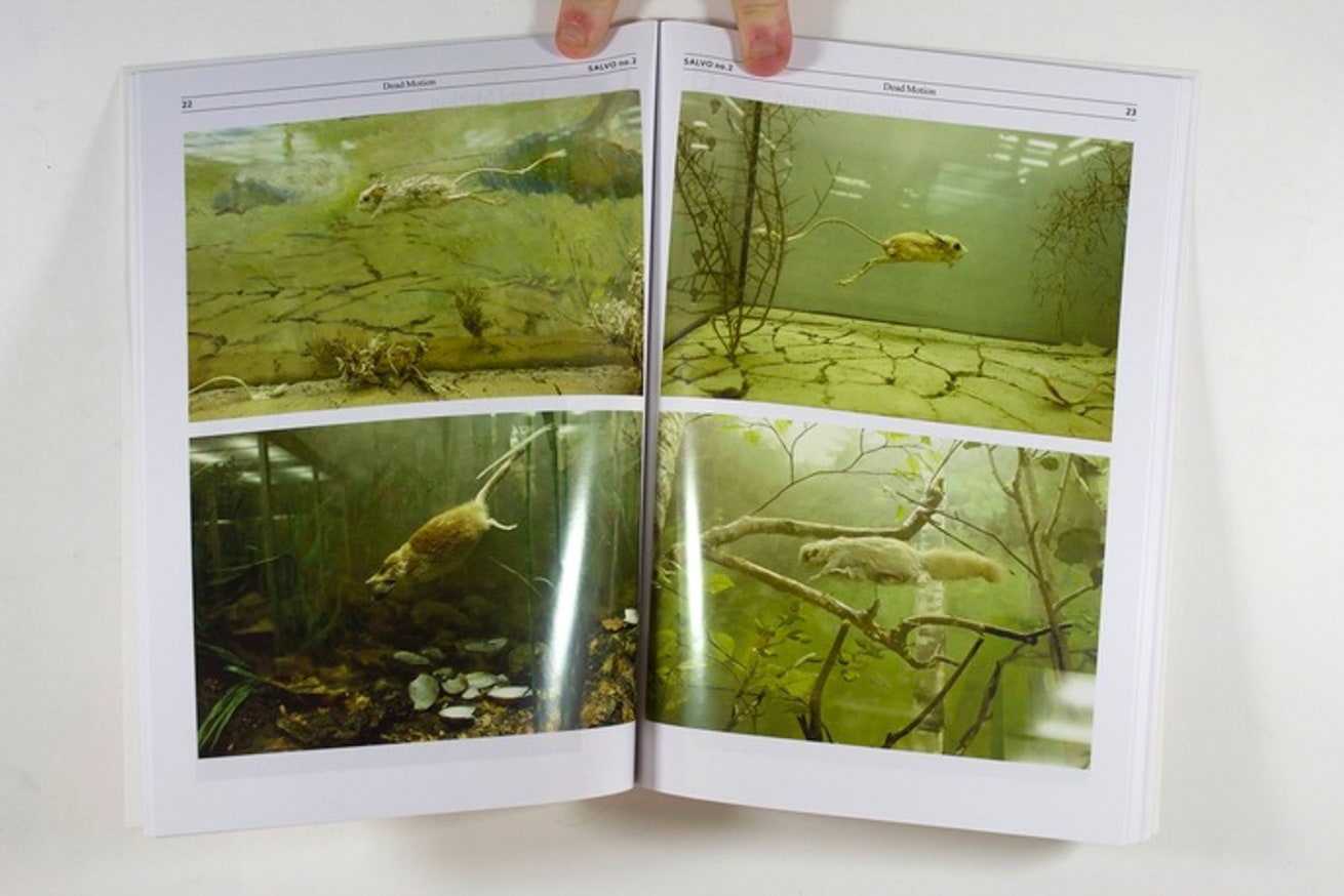 The Sneezing Man : An Investigation of Motion in Photography thumbnail 2