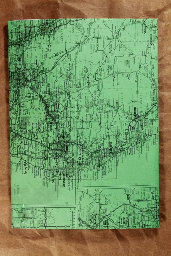 Gator Motel thumbnail 4