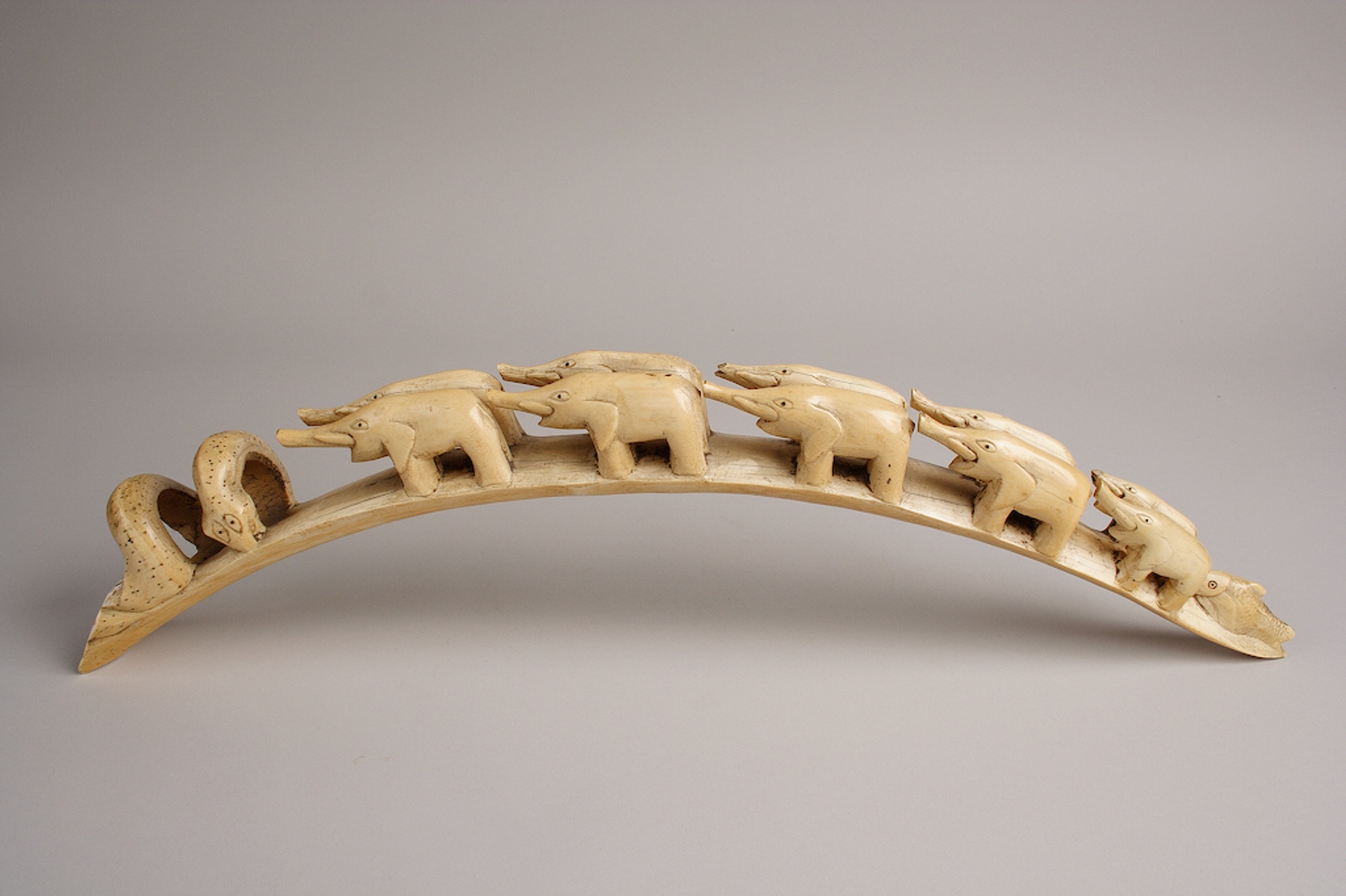 Ivory tusk carved to represent a parade of elephants moving from right to left.