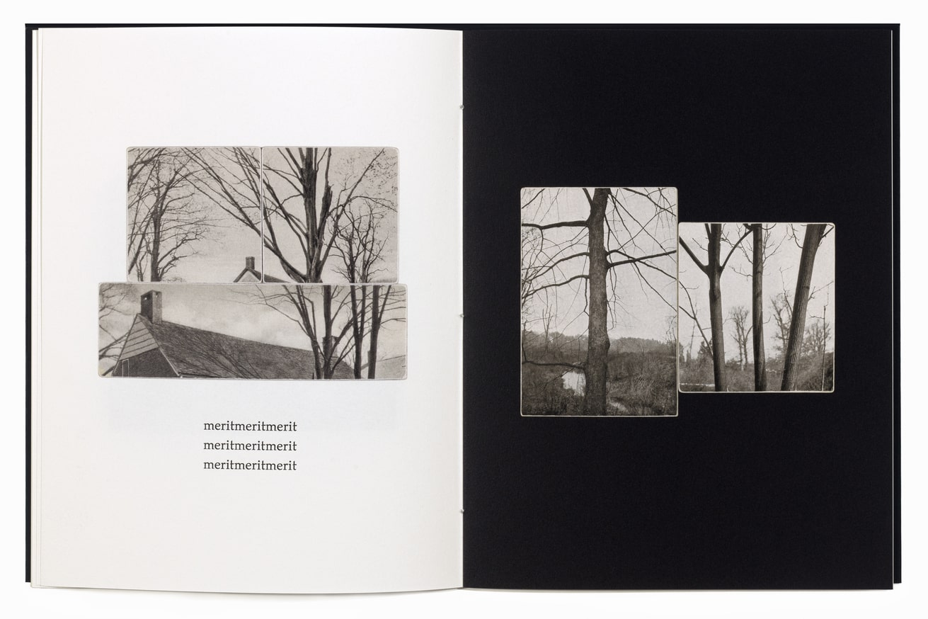 A Symbol of Constancy thumbnail 3