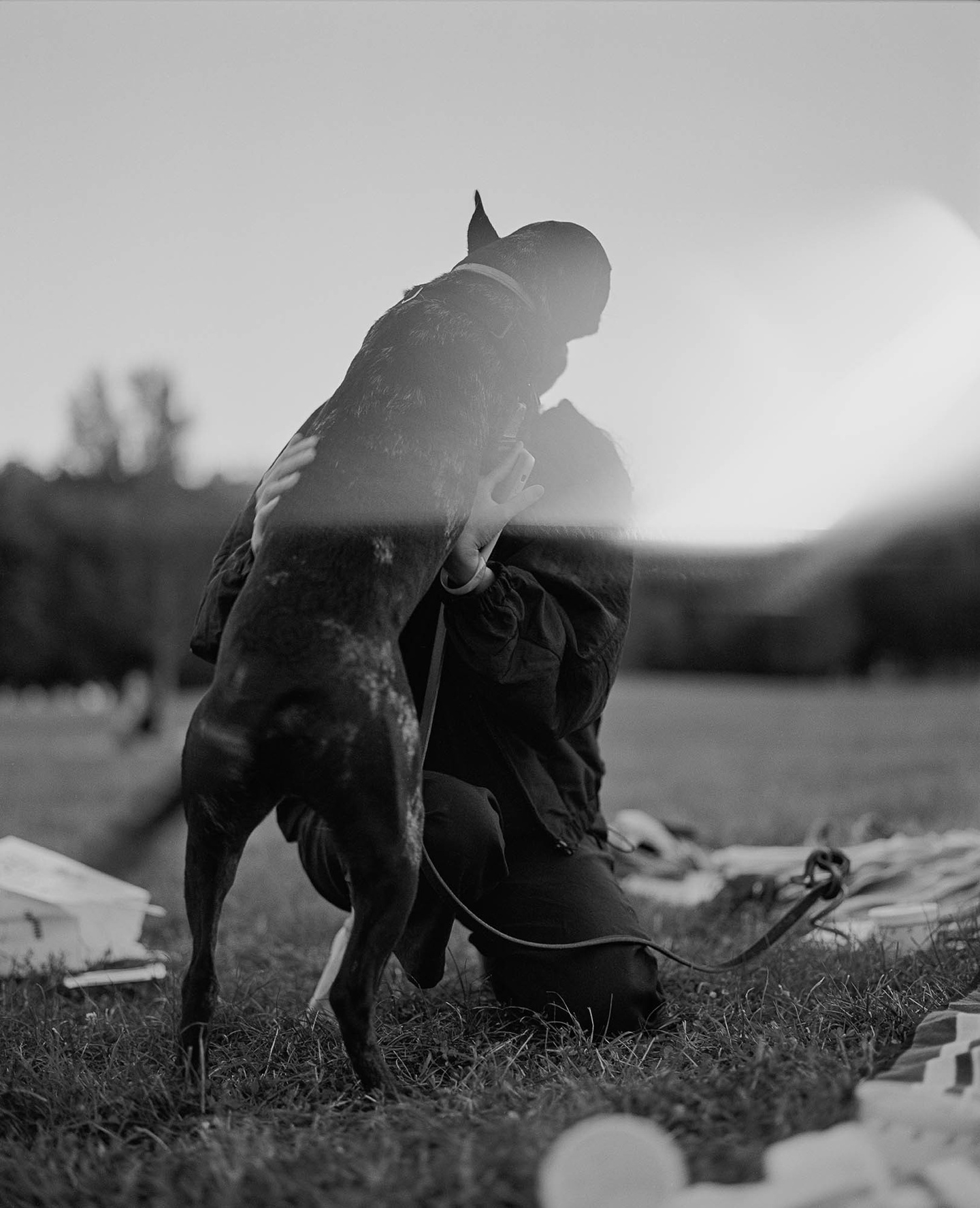 Black-and-white photo, someone obscured by sun glare, of a dog on its hind legs, greeting a person.