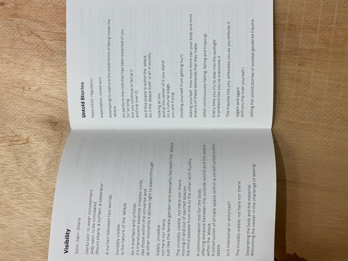 Invisibly Visible: Poetry Collection thumbnail 6