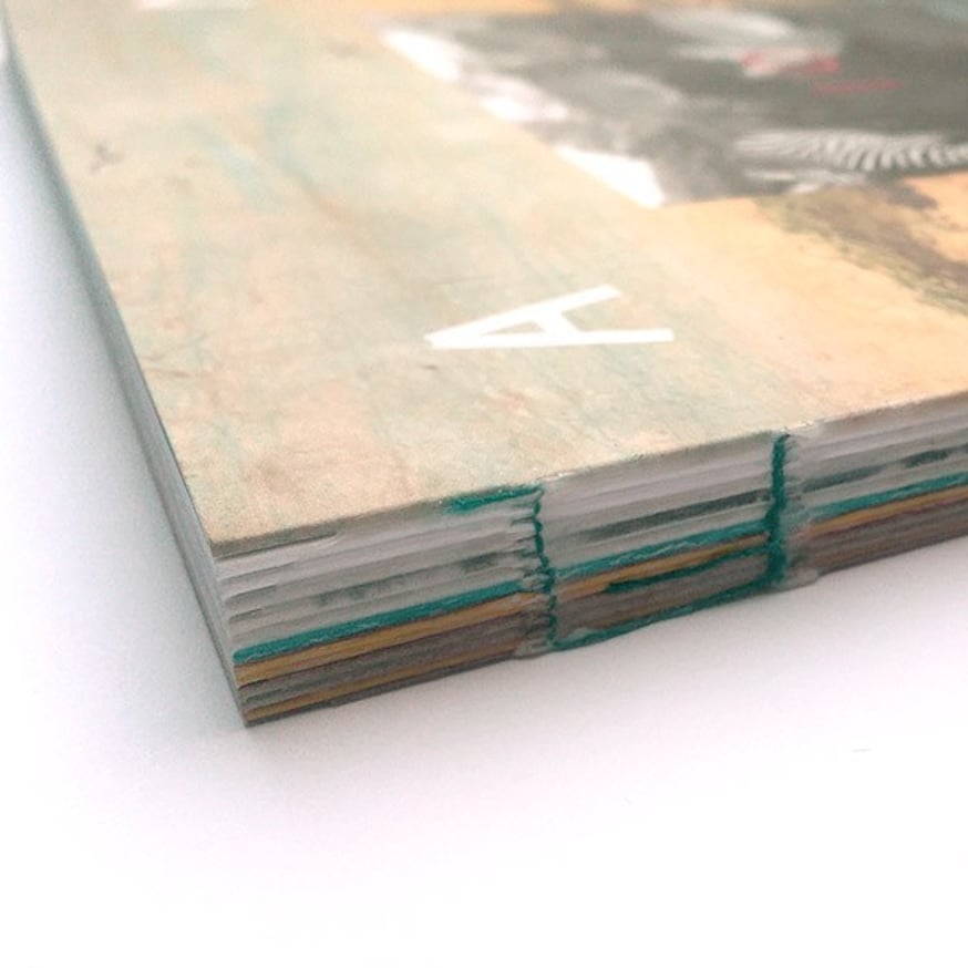 Amc2 Journal thumbnail 3