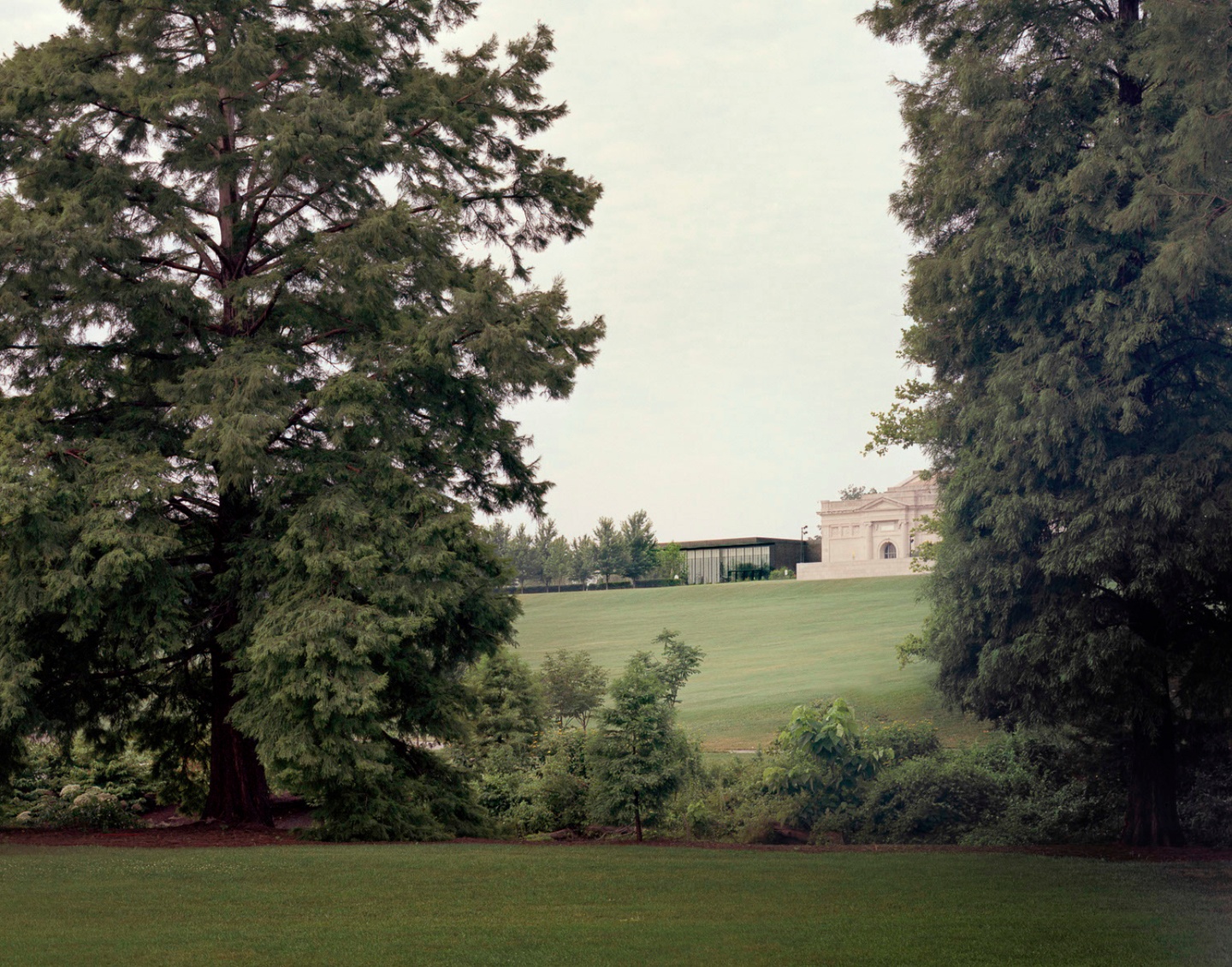 View through a pair of fir trees of the Saint Louis Art Museum's contemporary expansion next to the original musuem building.