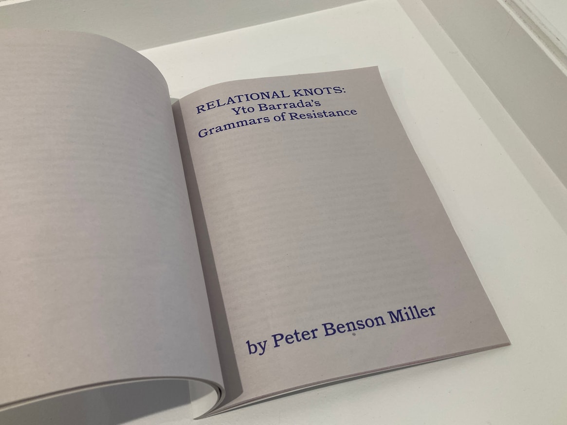 The Dye Garden thumbnail 4