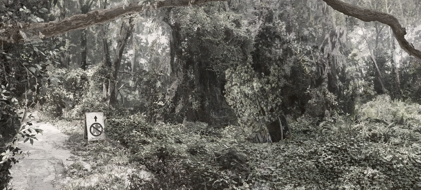 image with muted colors in the woods, a path with sign shows the Jeff Koons' balloon dog with a circle and line over it