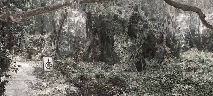 image with muted colors in the woods, a path with sign shows the Jeff Koons' balloon dog with a circle and line over it