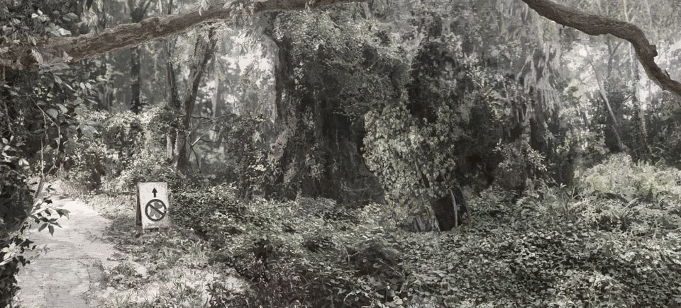 image with muted colors in the woods, a path with sign shows the Jeff Koons' balloon dog with a circle and line over it