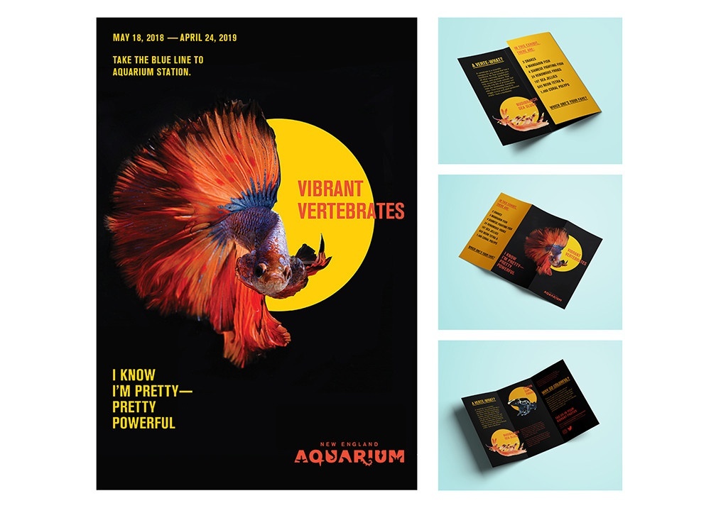 Image of Poster and Pamphlet. Poster uses yellows and reds on black background reads "Vibrant Vertebrates" next to a fish with large fins. The top left reads "May 18, 2018 - April 24, 2019 Take the blue line to aquarium station." Beneath the fish reads "I know I'm pretty--pretty powerful" and at the bottom corner is "New England Aquarium." Pamphlet laid out in three views with same bold colors and text.