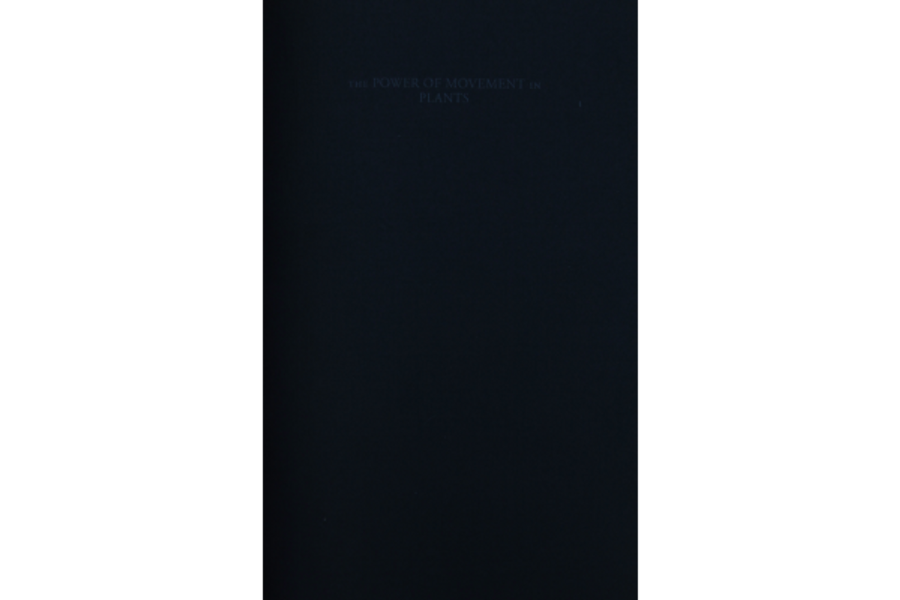 The Power of Movement in Plants