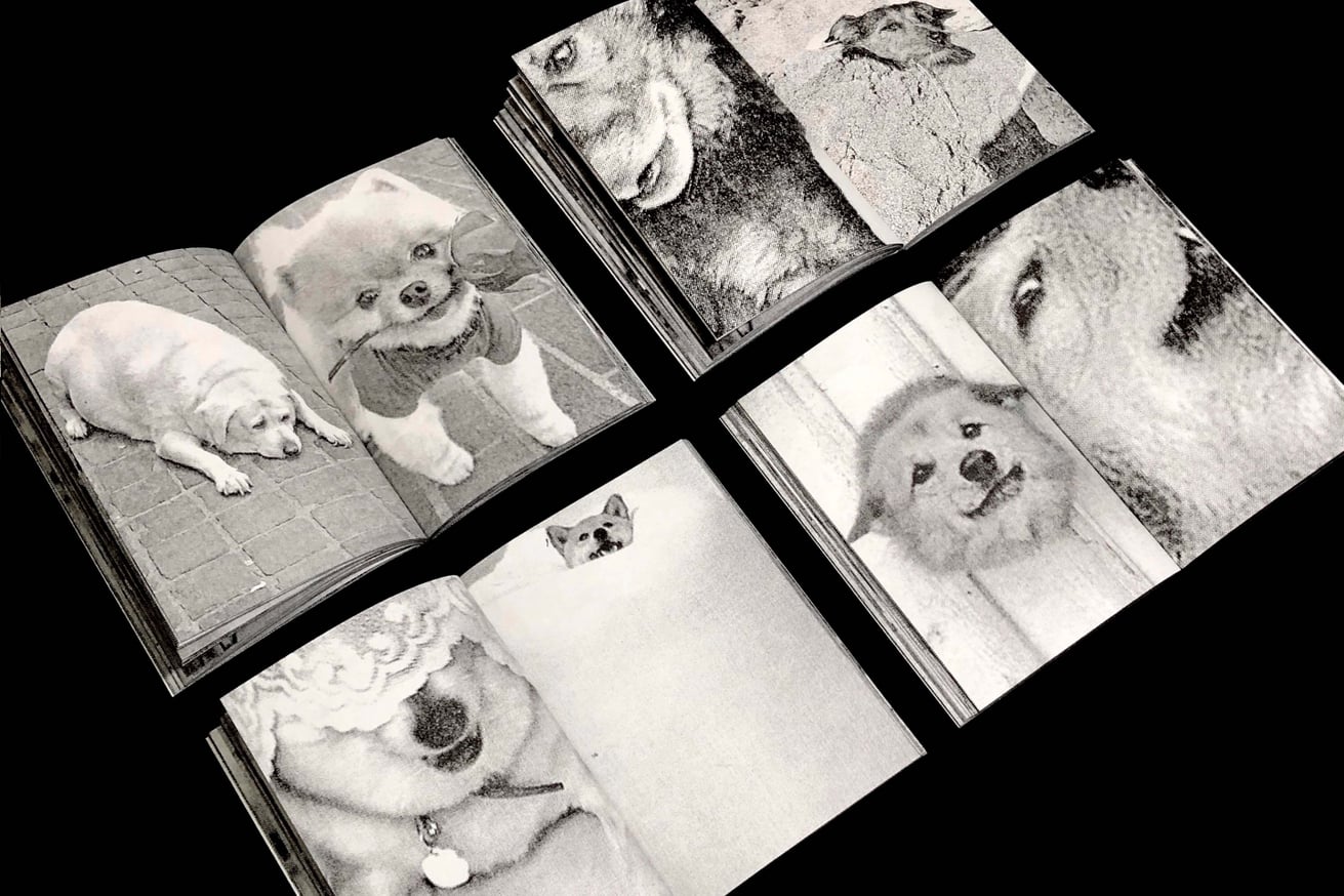 Perros Primos thumbnail 4