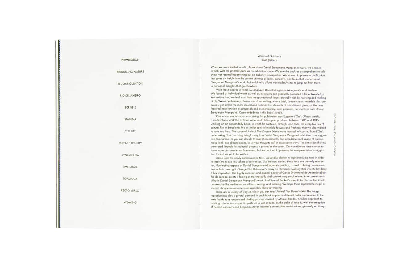 Daniel Steegmann Magrané : Animal That Doesn't Exist thumbnail 6