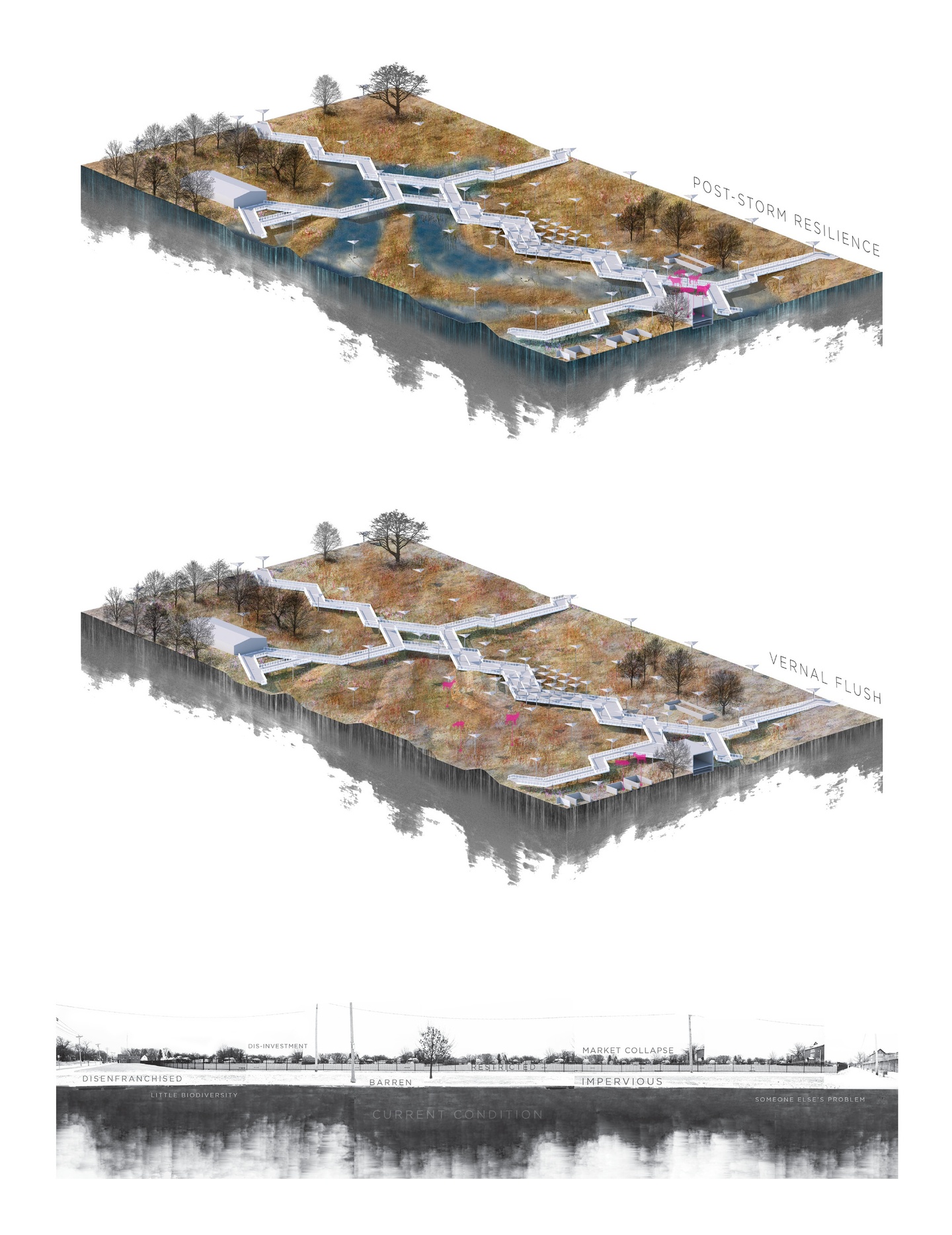 Two axonometric renderings and an elevation of an outdoor site with a boardwalk. The first rendering is labeled "Post-Storm Resilience" and shows flooding, the second rendering is labeled "Vernal Flush" and shows deer in the landscape. 