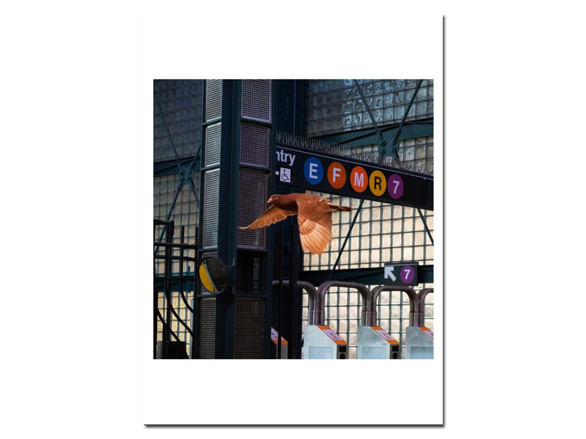 Roosevelt Station thumbnail 3