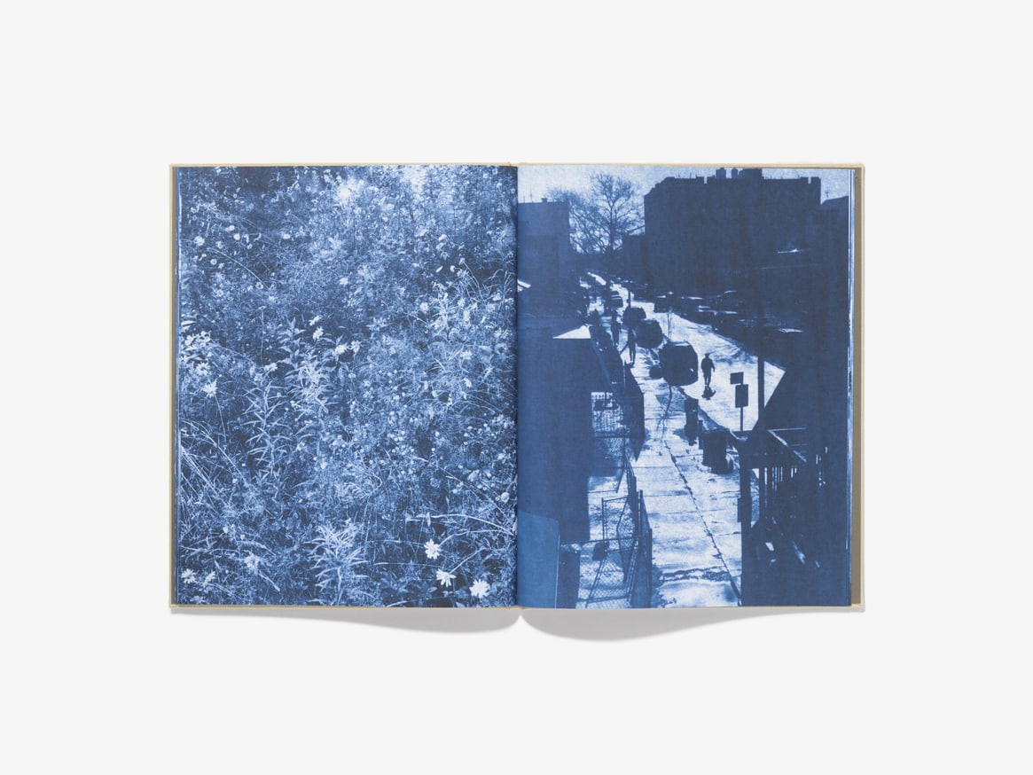 Ecstatic Nature thumbnail 5