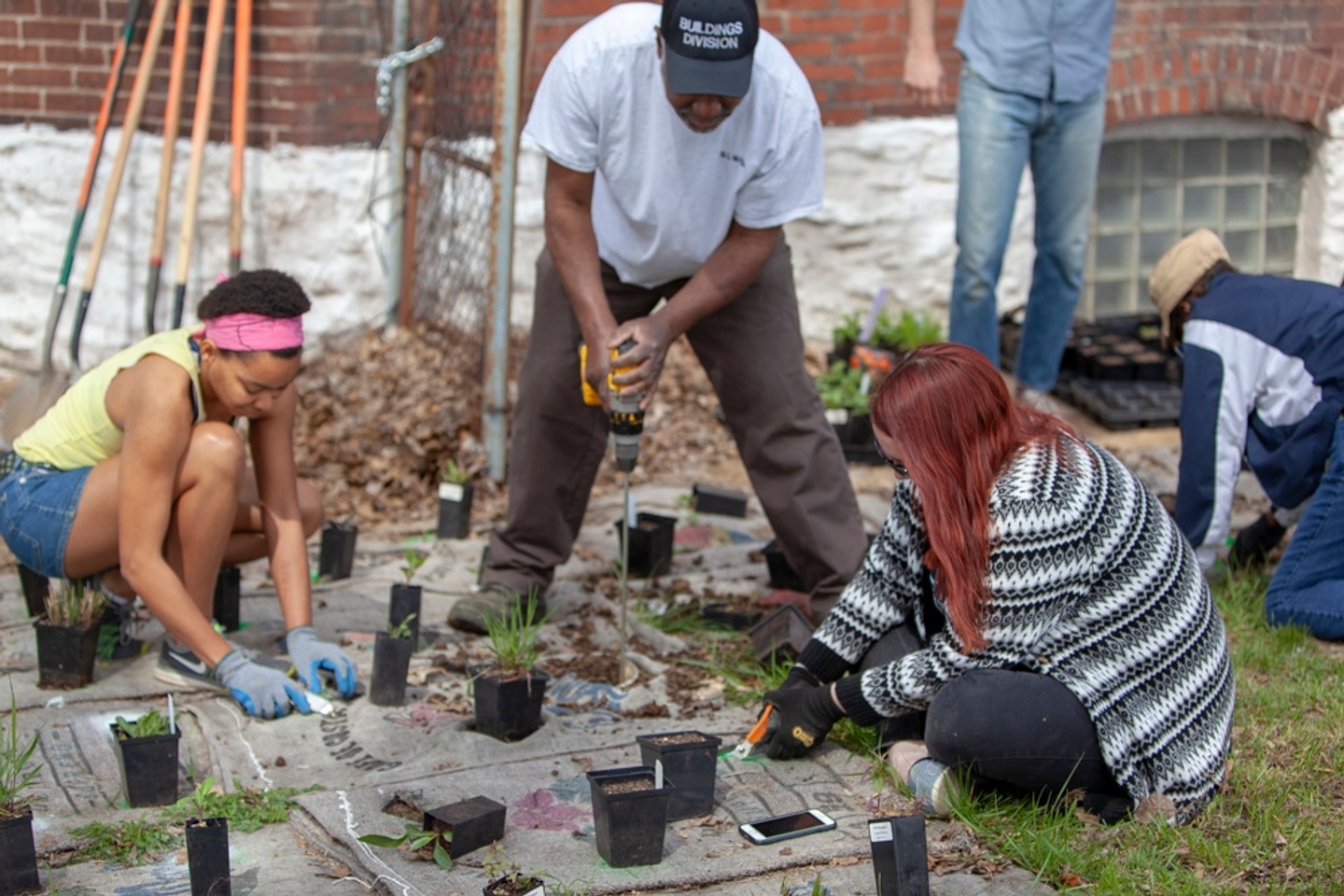 Four people work on putting plants into the ground. 