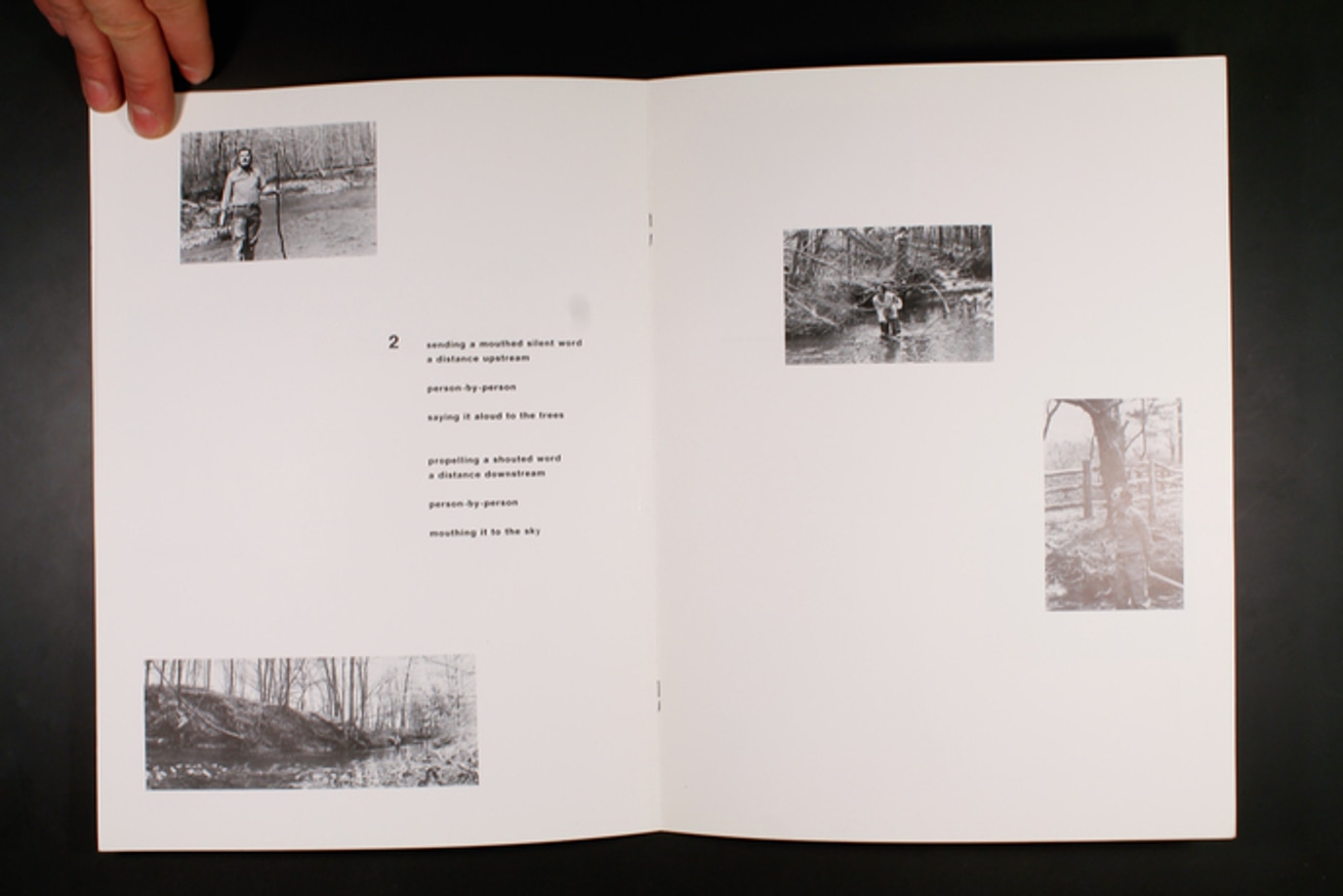 Echo-logy thumbnail 5