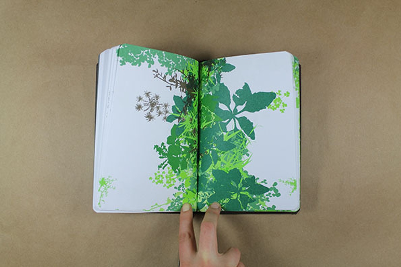 A Field Guide To Weeds thumbnail 5