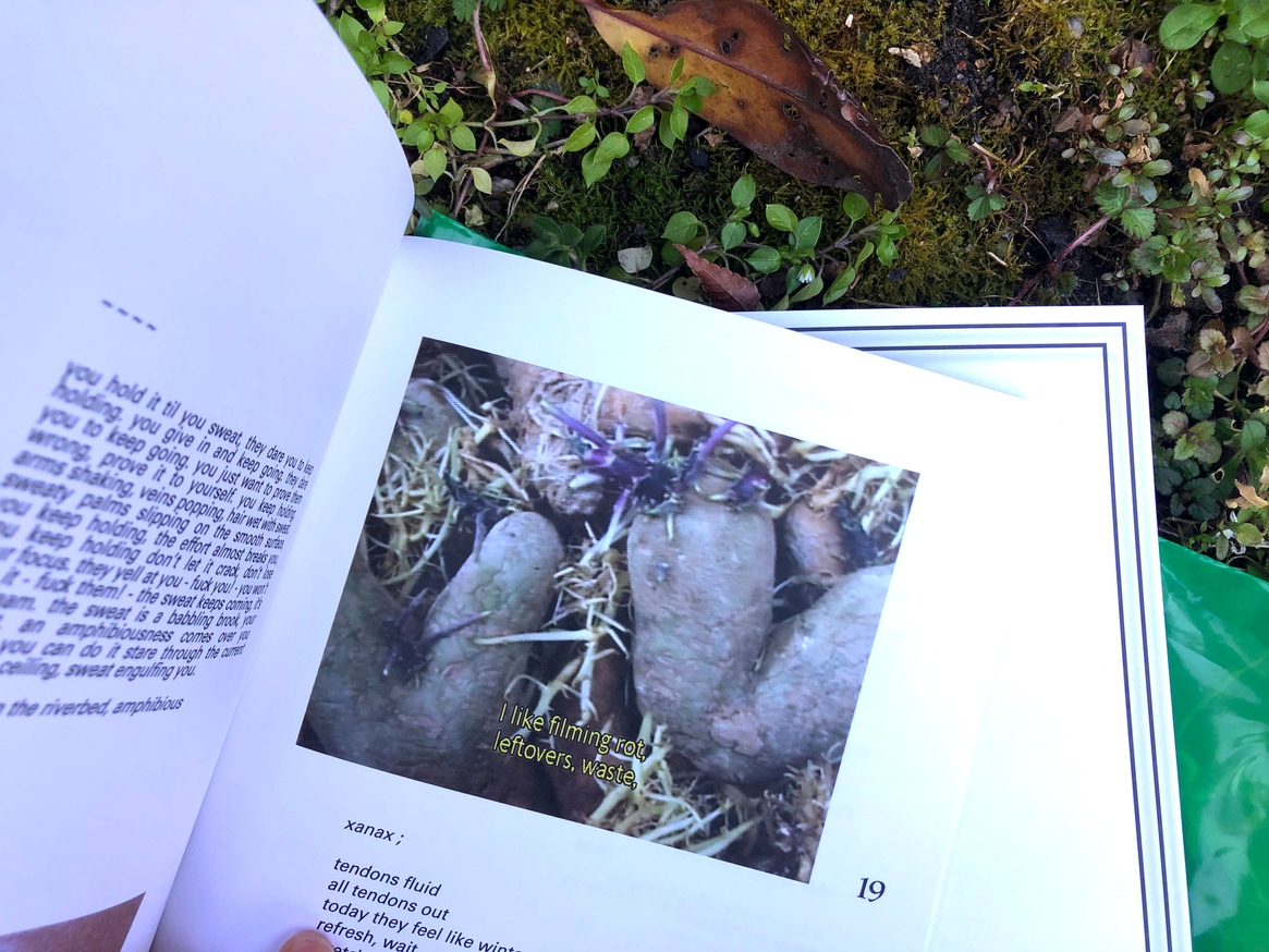 Entangled Thicket/The Pond thumbnail 5