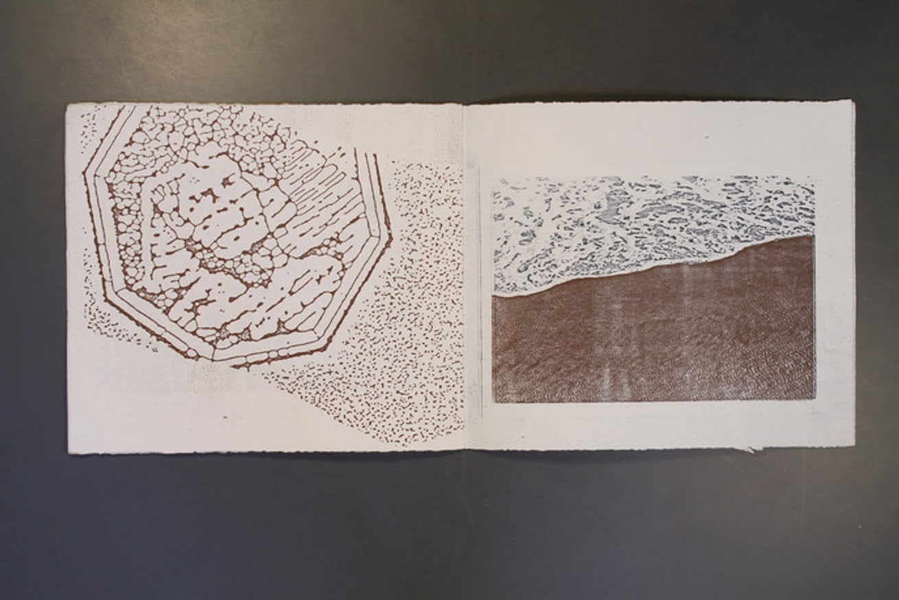 Where is Home? Basic Elements : Earth, Air, Fire, Water thumbnail 3