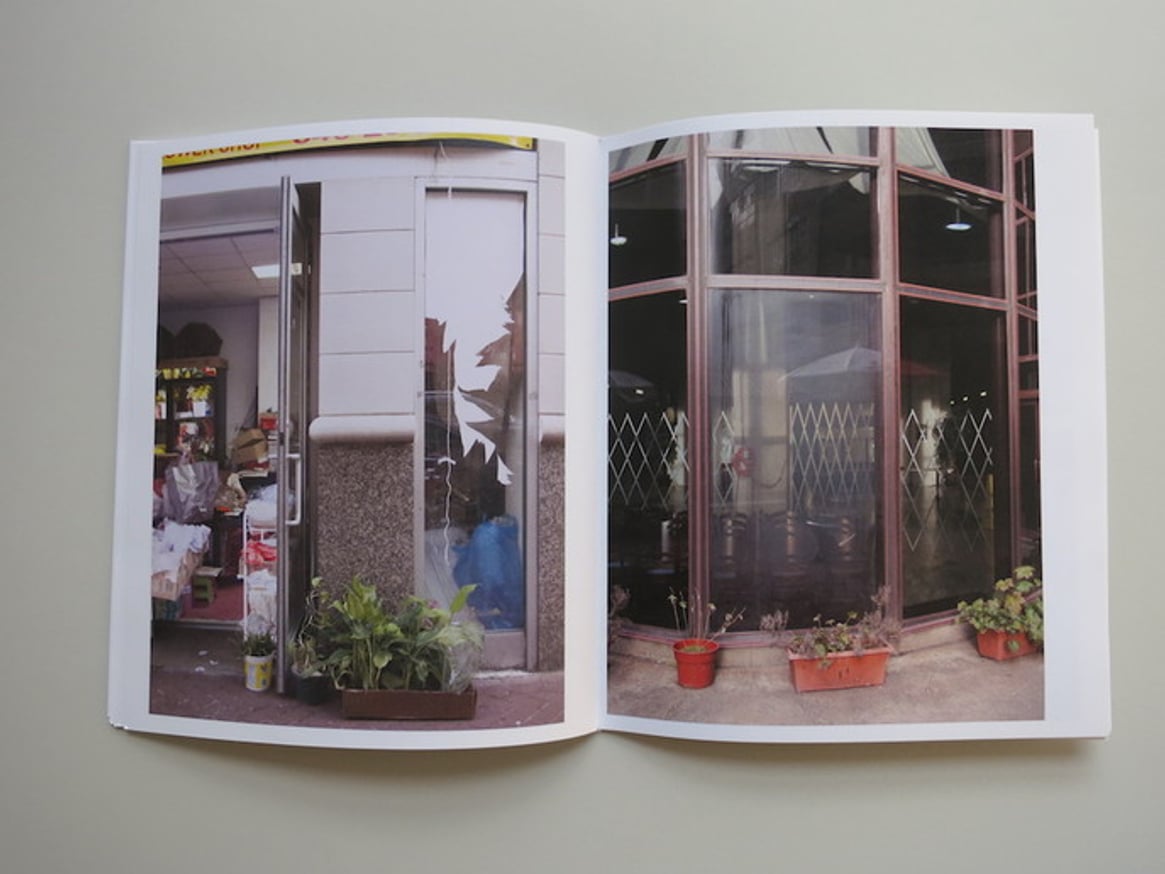 Plantlife/NYC thumbnail 7