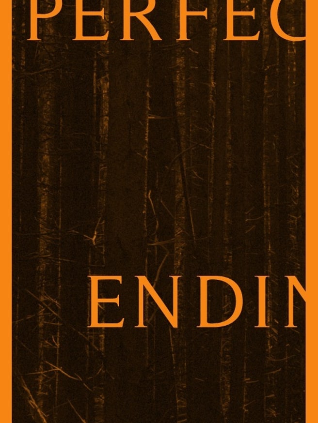 Perfect Ending thumbnail 2