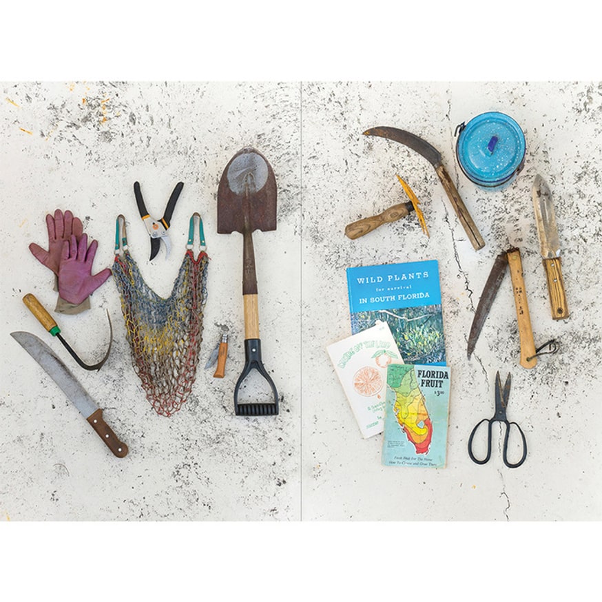 Forager: A Subjective Guide to Miami's Edible Plants thumbnail 4