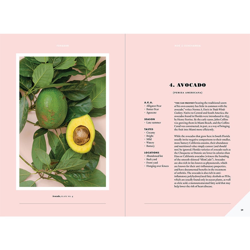 Forager: A Subjective Guide to Miami's Edible Plants thumbnail 6