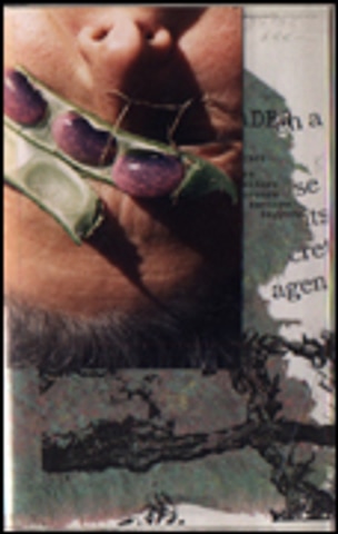 The_____Reader : 160 Books To Be Read With Eyes Ears Mind Body Use