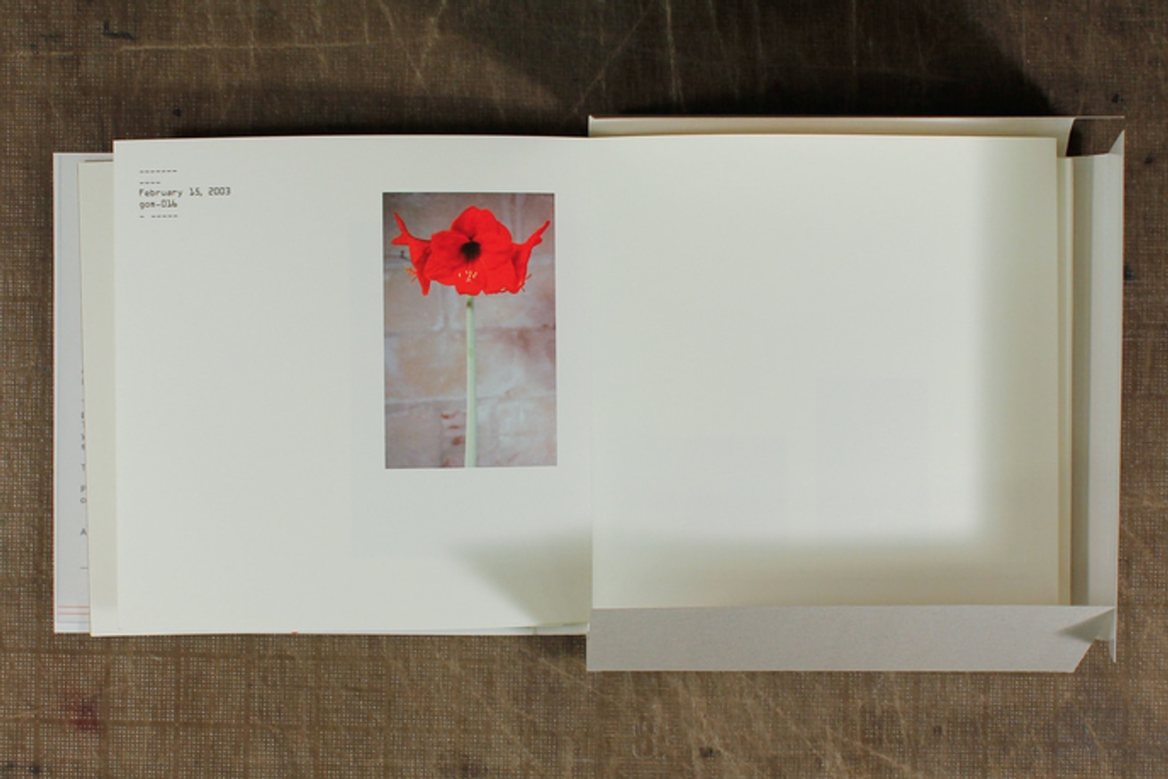 The Geometry of Memory / Tropos 2003 thumbnail 3