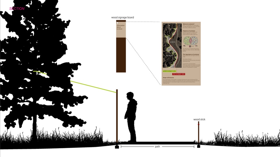 Section drawing showing a person looking at a sign in front of a tree, with a detail of the sign. 