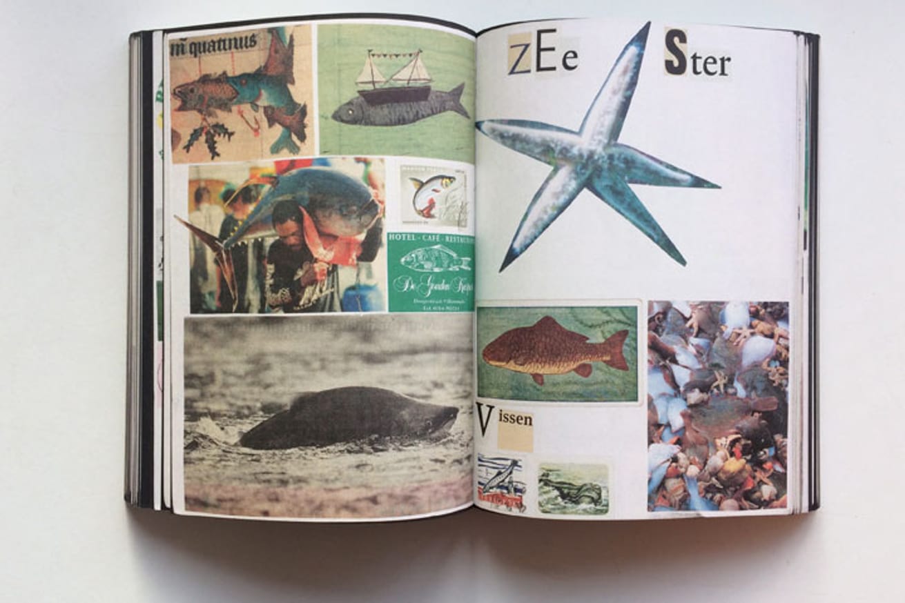 Animal Books For Jaap Zeno Anna Julian Luca thumbnail 2
